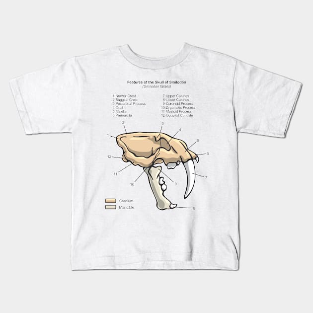 Smilodon Skull Diagram Kids T-Shirt by taylorcustom